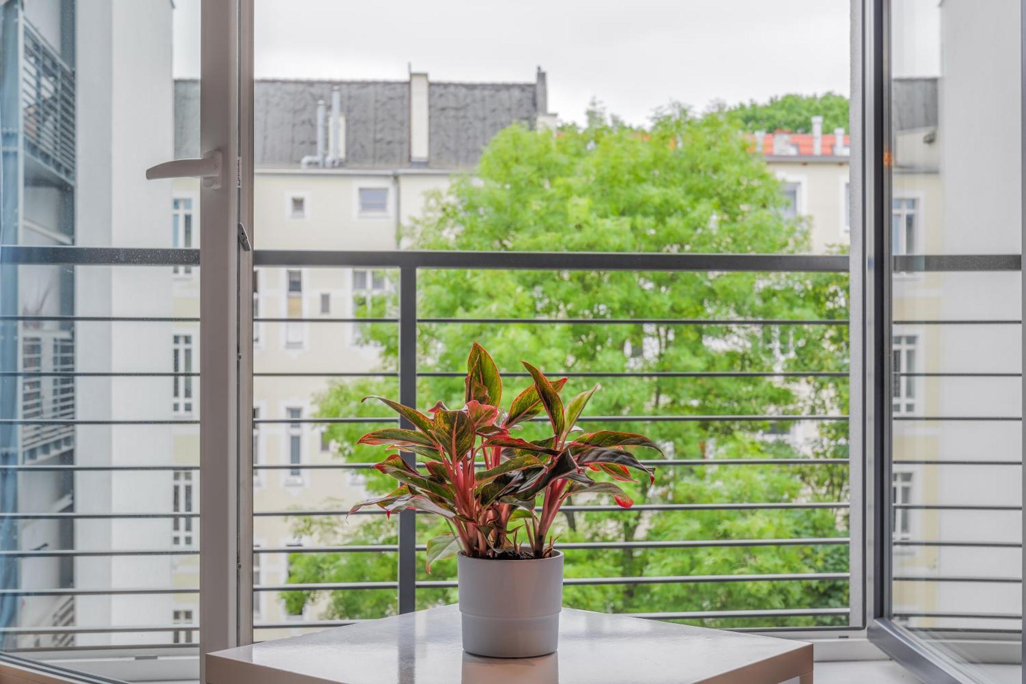 Swarozyca IV - Grysko Apartament'S Stettin Eksteriør billede